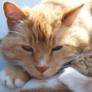 Meet your Posher, Jean